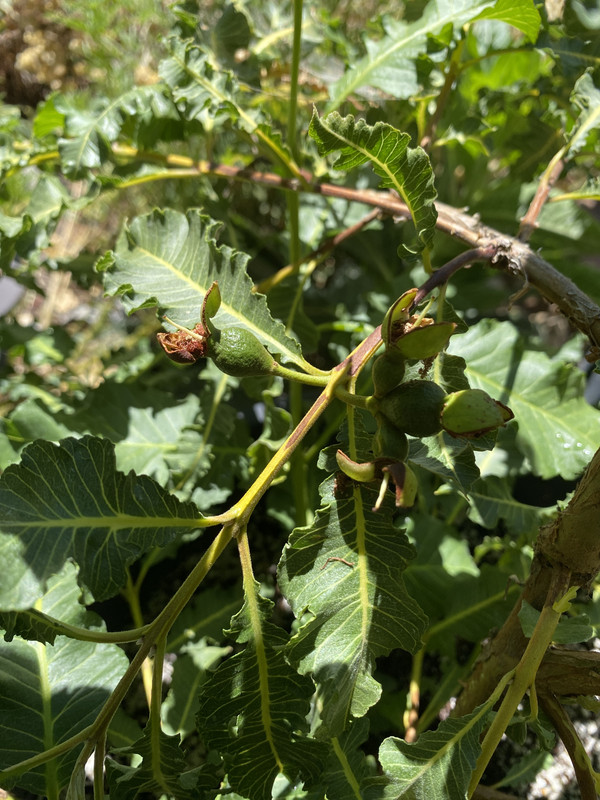 2EF87B18-DD9E-4E8D-88CB-148B01F866C9