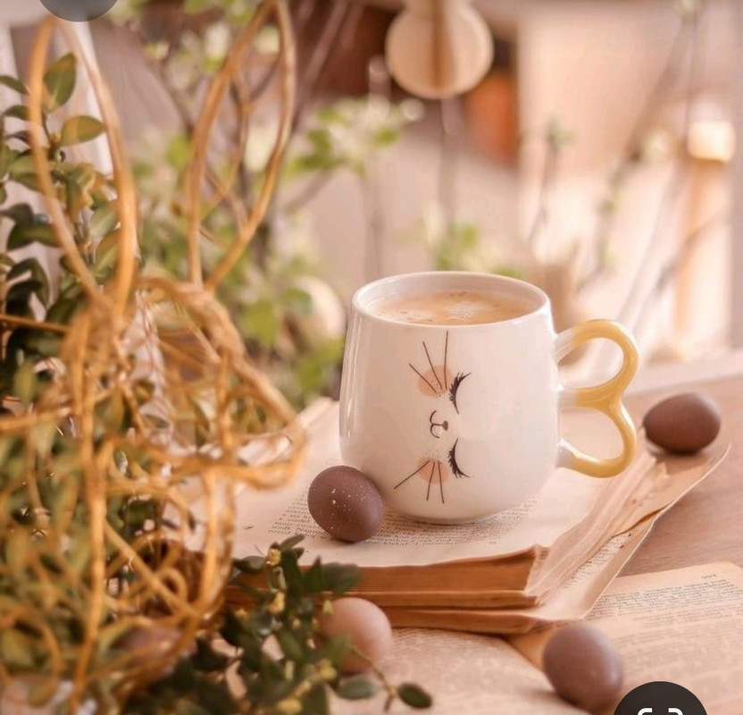 Screenshot_20230312_003621_Pinterest