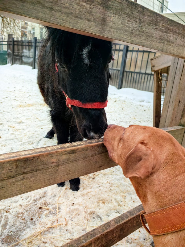 05E66660-0A31-40BE-B0BF-D90B197C12B3