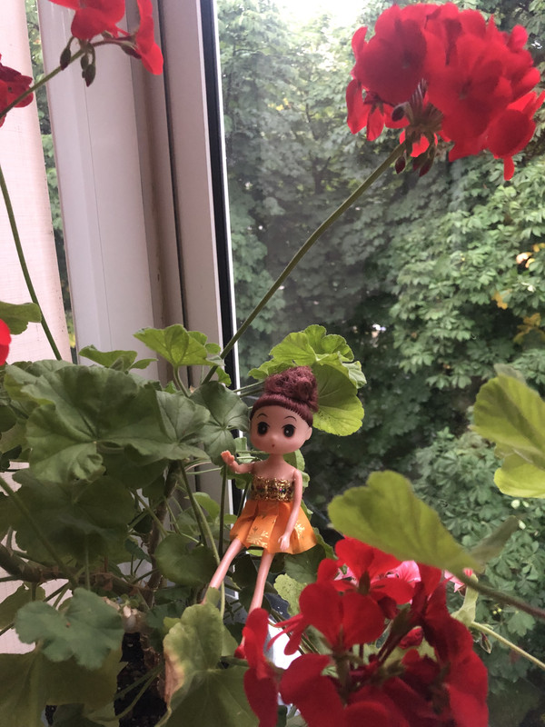 8EFEF786-D163-4C73-9272-4E7039CD8198