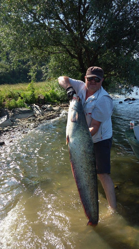 33748357_1945348272165291_3791671702425960448_n