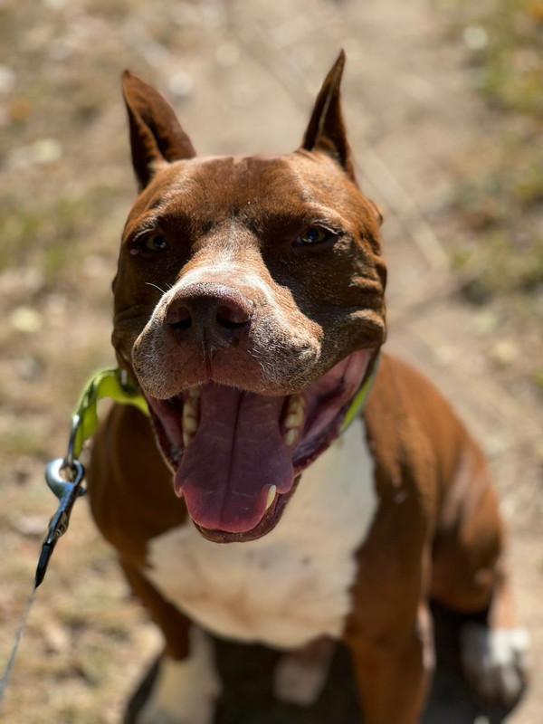 519A828B-CD45-4B09-AE87-01B25269ACF3