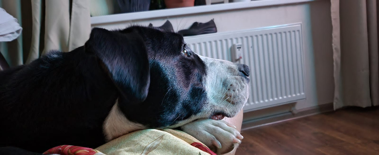 CF4E88E9-AEA7-441B-8864-CF209A54B2CD