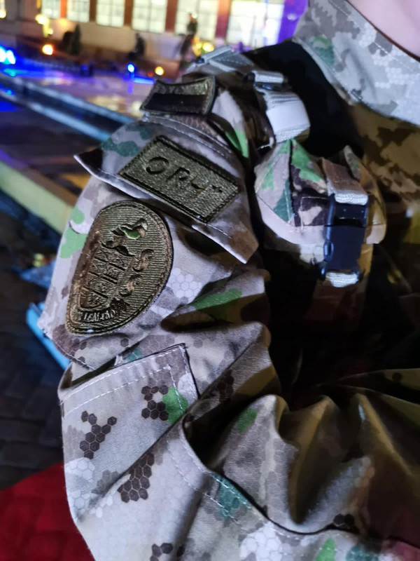 Proyecto Camaleón Bicentenario009