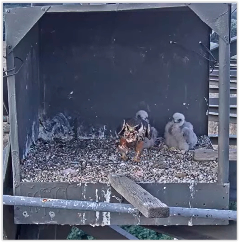 Screen Shot 07-27-22 at 07.02 PM