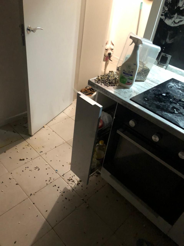 6D504FF2-B4F7-4941-99C4-5A164D9027E6