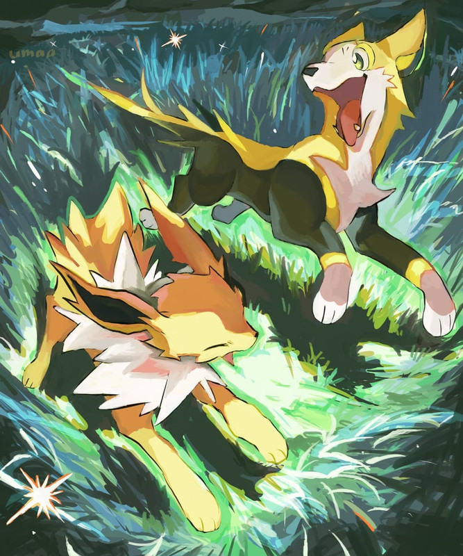 jolteon-and-boltund-pokemon-drawn-by-ois