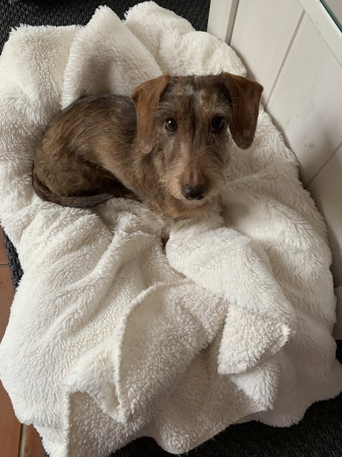 [Image: 9687011-F-8810-4-BFF-A264-554-D8-B645536.jpg]