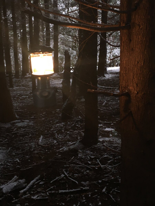 00D29D91-D466-4DAE-9C86-3F03824AEFFA