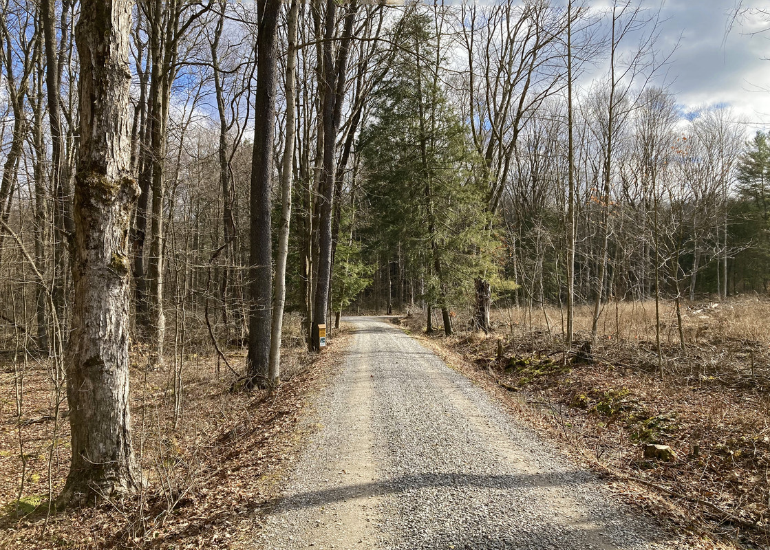 2024-02-14 Old Hemlock (home of George Bird Evans) 2