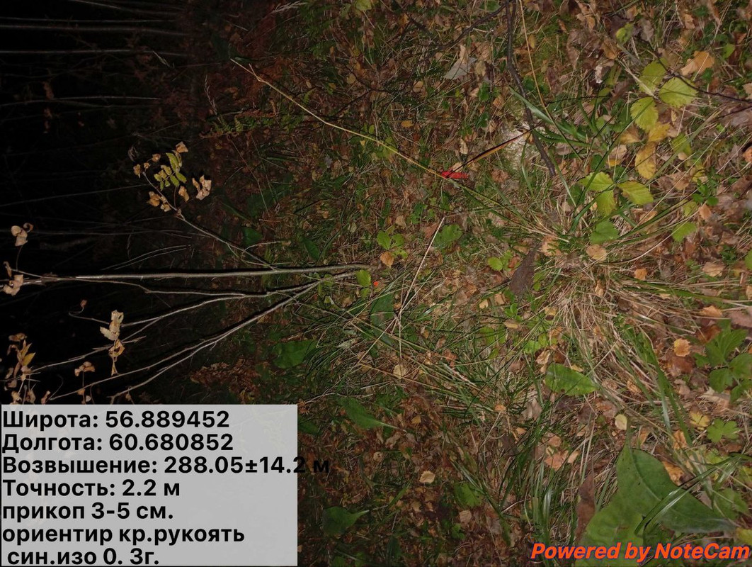 photo_24_2025-10-04_13-57-16