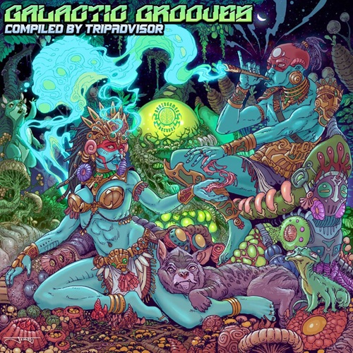 Bngs012-VA-Galactic-Grooves-2026.jpg