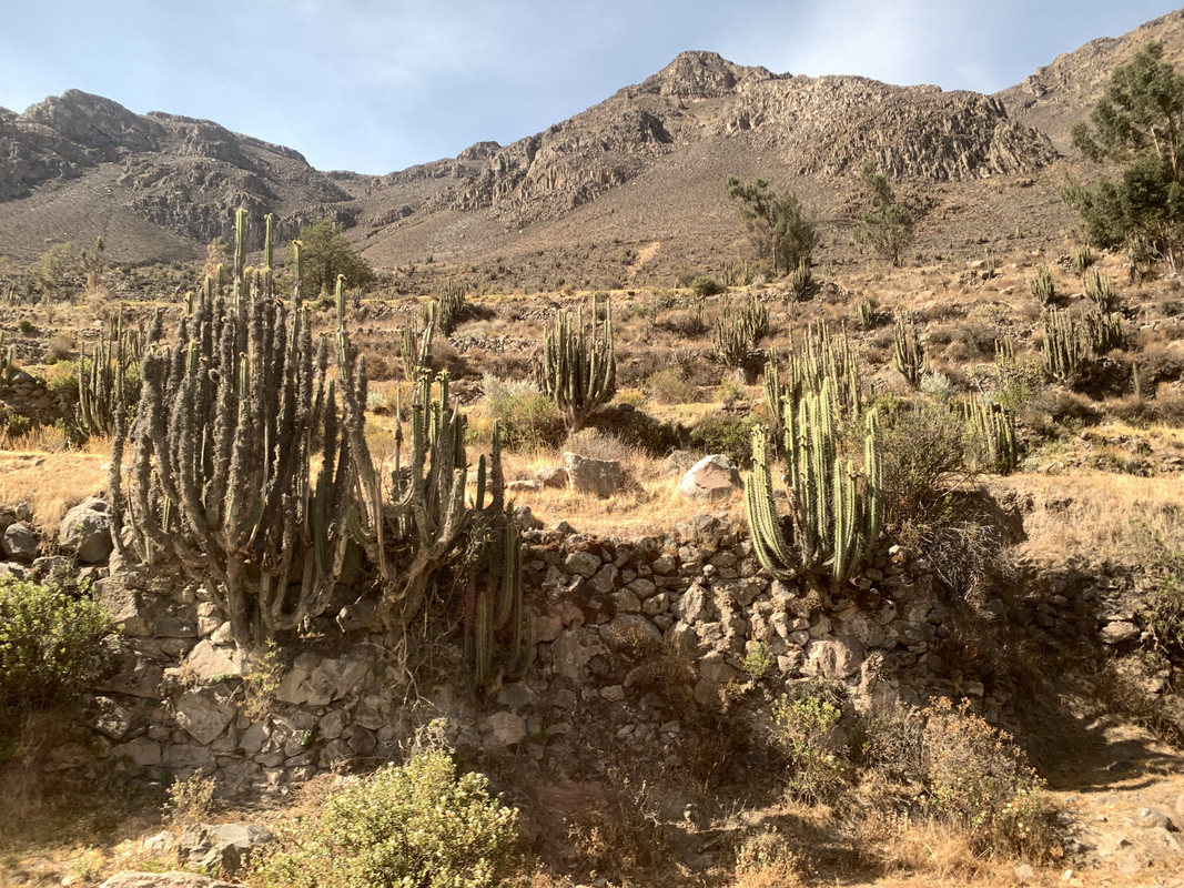 C988EE39-95E1-4D27-A9CD-47DFC4CEBDE3