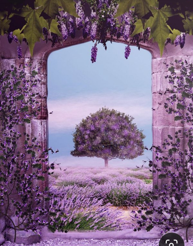 Screenshot_20240425_214450_Pinterest