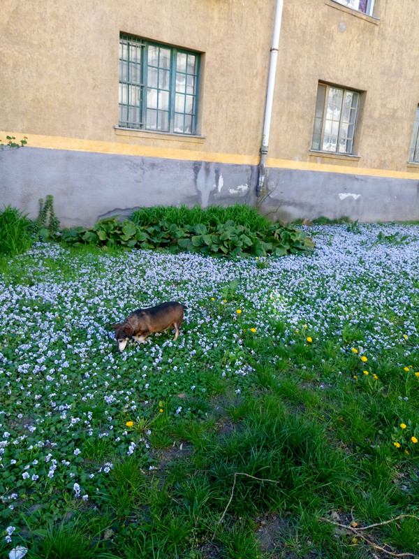 Kép
