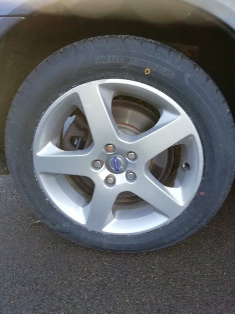 IMG_20220219_170549 (1)