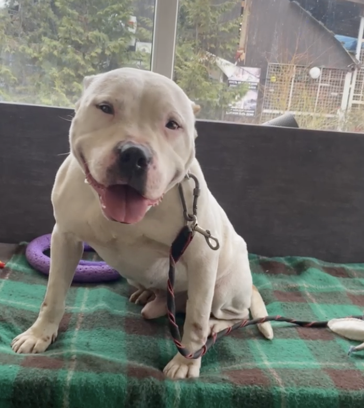 Снимок экрана 2024-12-28 в 14.07.46