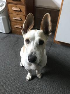 8FSblKz5S7qH44aAII4VYw