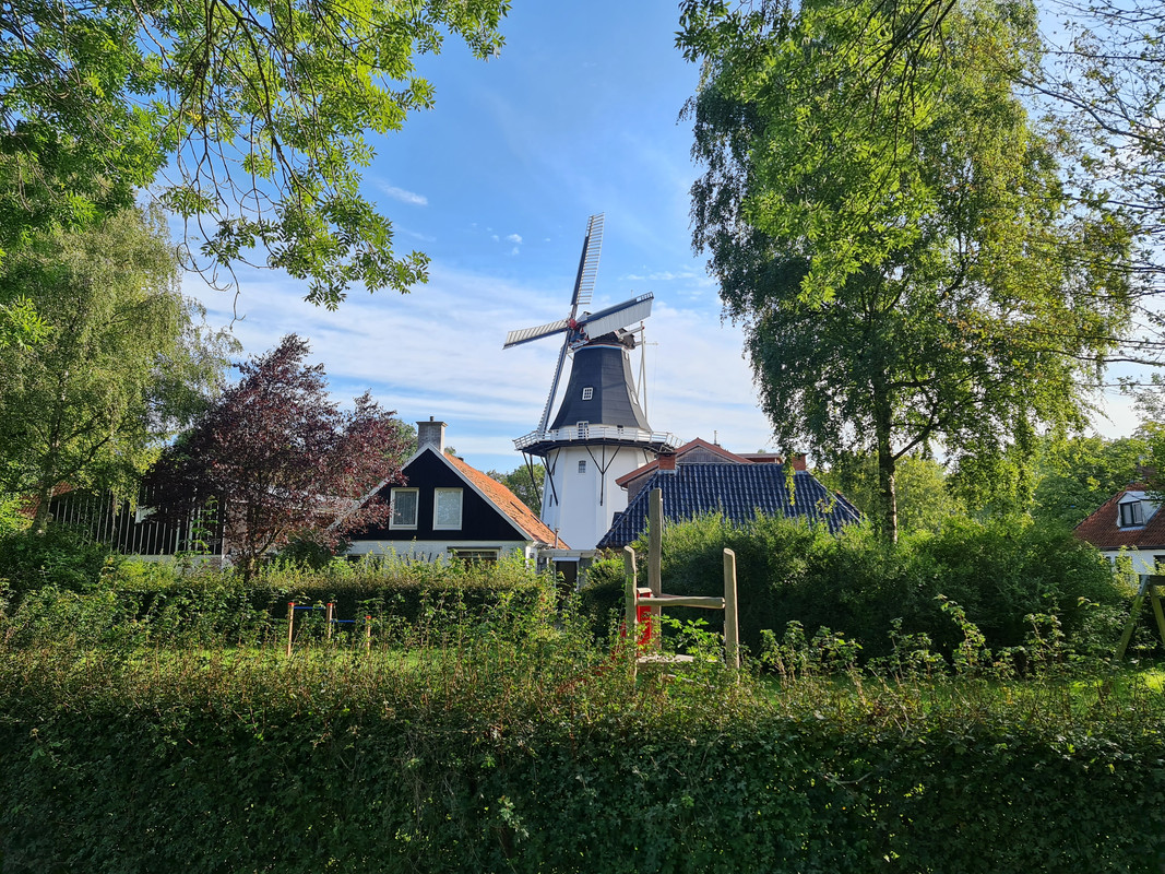 Pieter Zuijkerbuijk, Wilhelmina 01 Noorderhoogerbrug 01-09-2023