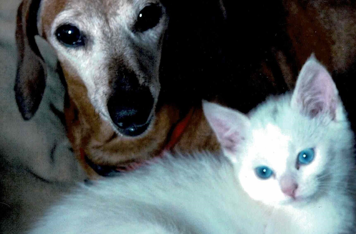 [Image: Num-risation-20210210-2.jpg]