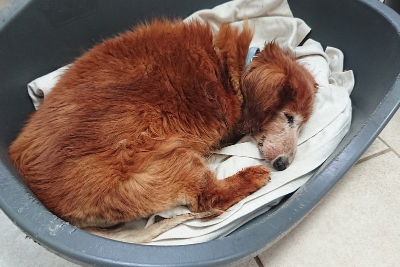 [Image: DSC-2024-06-22.jpg]