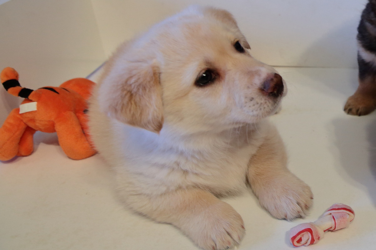 73B40397-B041-44C0-9761-BFDB8F85D977