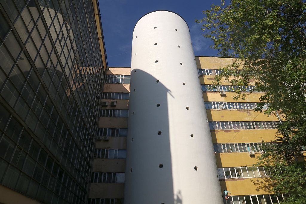 https://i.postimg.cc/gJWVr2BP/IMG-8865.jpg