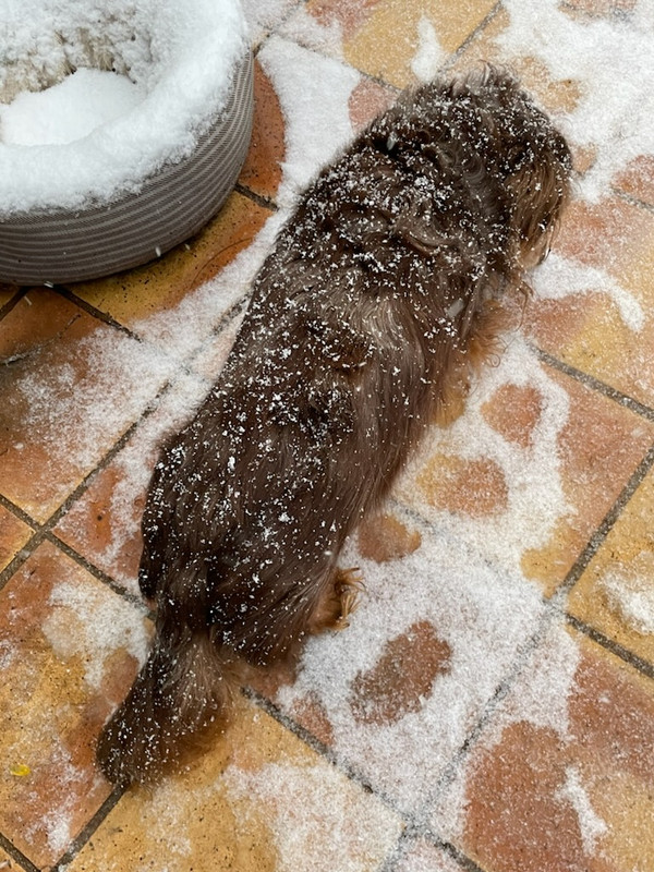 [Image: IMG-20241121-200742.jpg]