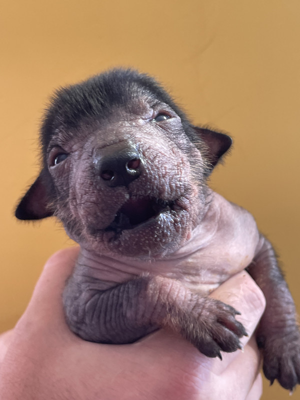 64F95D2B-62E1-4391-A47A-1EDD79E06FA7