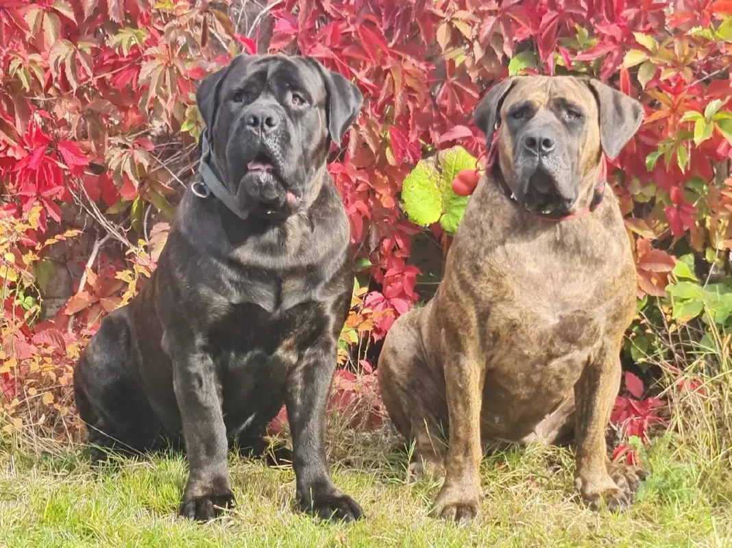 KYnPQEU_sGO3yQvdkrD45GiJMNCI6INflsCEO044Y_-z5zlAn9ofUg18YhhR3BQuxunBiD3TRr6FNaogVuhWWVCj