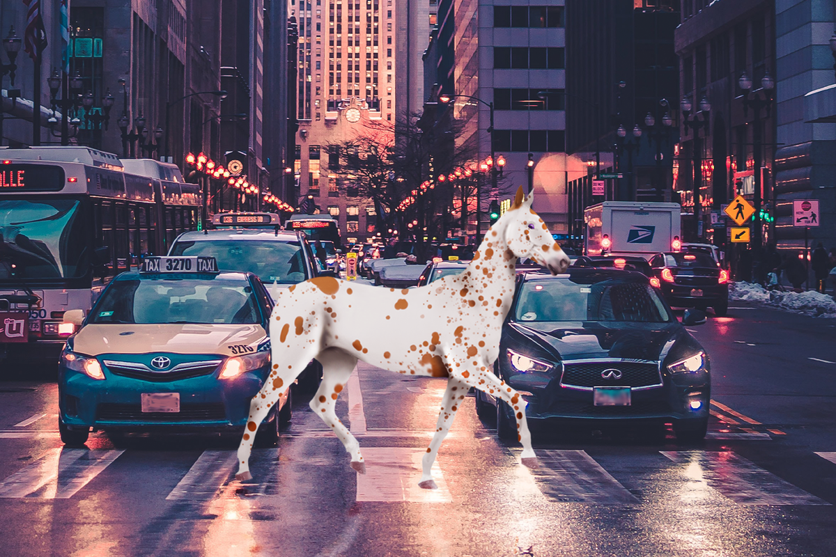 Roadie.png