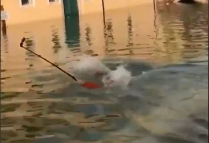 Meski tenggelam, turis tersebut berhasil menyelamatkan kameranya
