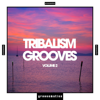 VA - Tribalism Grooves Vol. 2 (2019)