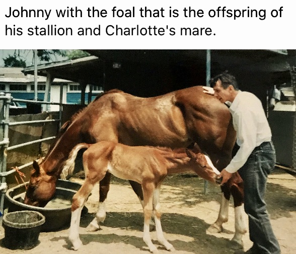 KsHjtR5iSDK%hUNT86MhqQ_thumb_7834