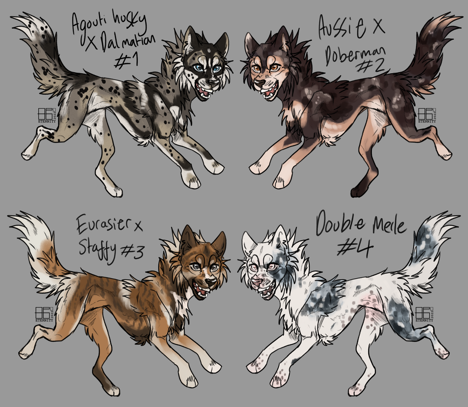 Dogs-Batch.png