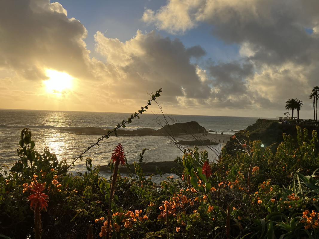 455E5EE7-2B8C-42A2-BFC5-9FB6DC062164