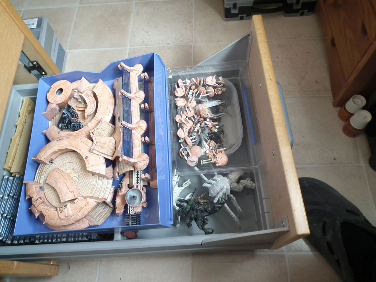 Tau-DSCF1123.jpg