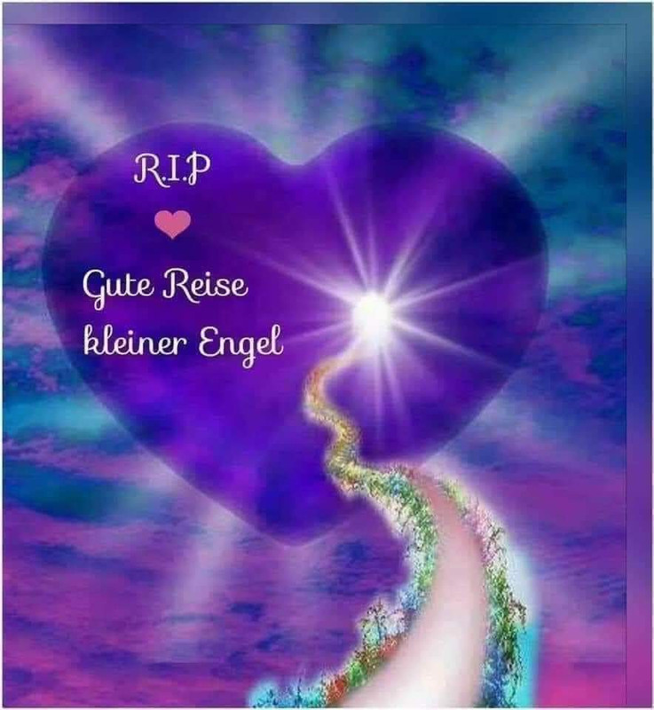 [Image: FB-IMG-1677799279005.jpg]