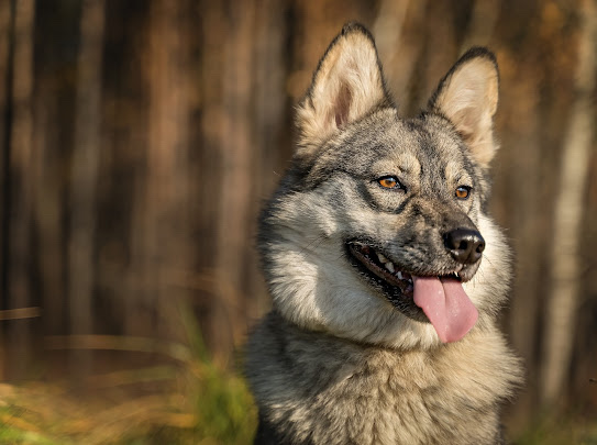 изображение_viber_2022-01-10_11-24-50-913