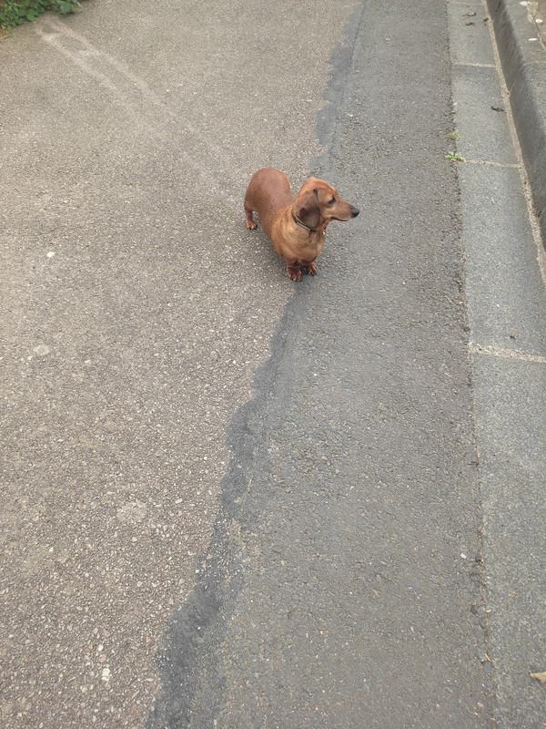 [Image: IMG-20250718-175838.jpg]