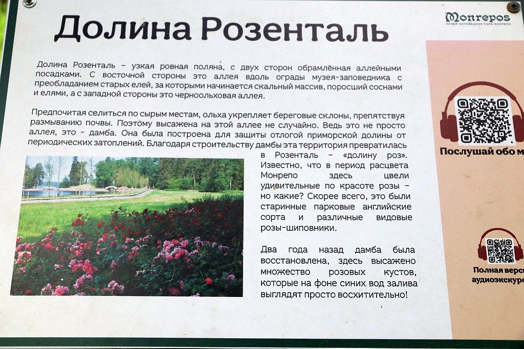 https://i.postimg.cc/gJY0kqXL/IMG-2524.jpg