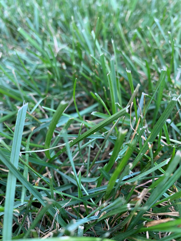 20200801_215708713_iOS (2)