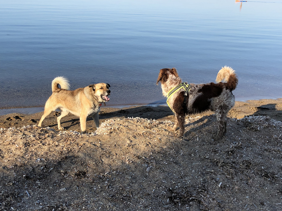 8DF9F82F-20C7-448B-AF97-DC5DD09EC516