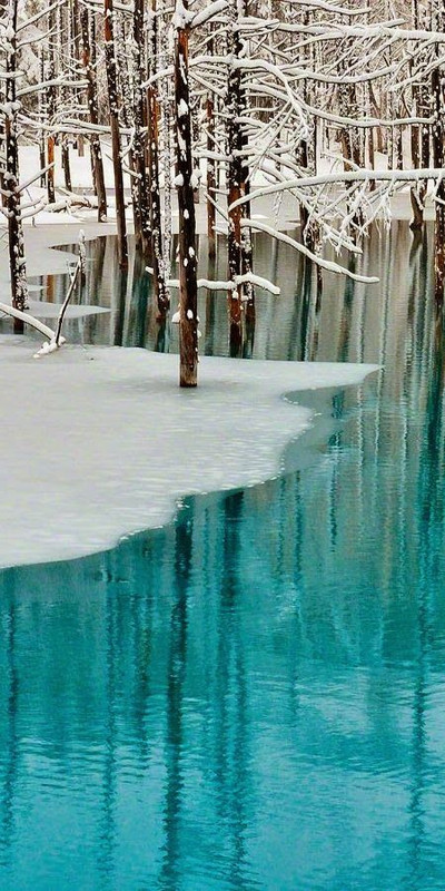 turquoisesnowlake.jpg