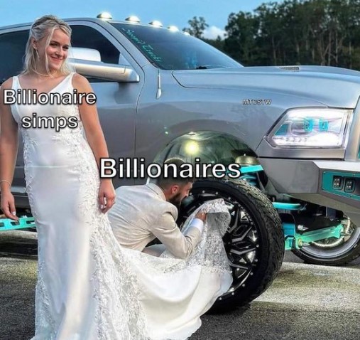 billionaires-simps.jpg