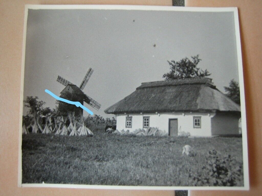 Windmühle Russland 2. Weltkrieg Orignal super Foto Agfa
