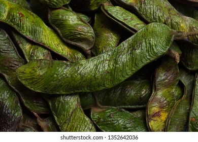 green-pods-guama-ripe-organic-260nw-1352642036