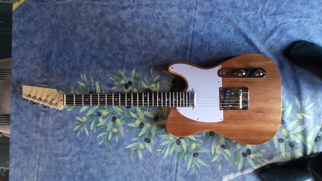 Harley benton 2024 telecaster kit