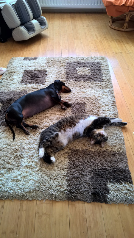 WP_20160101_10_25_28_Pro