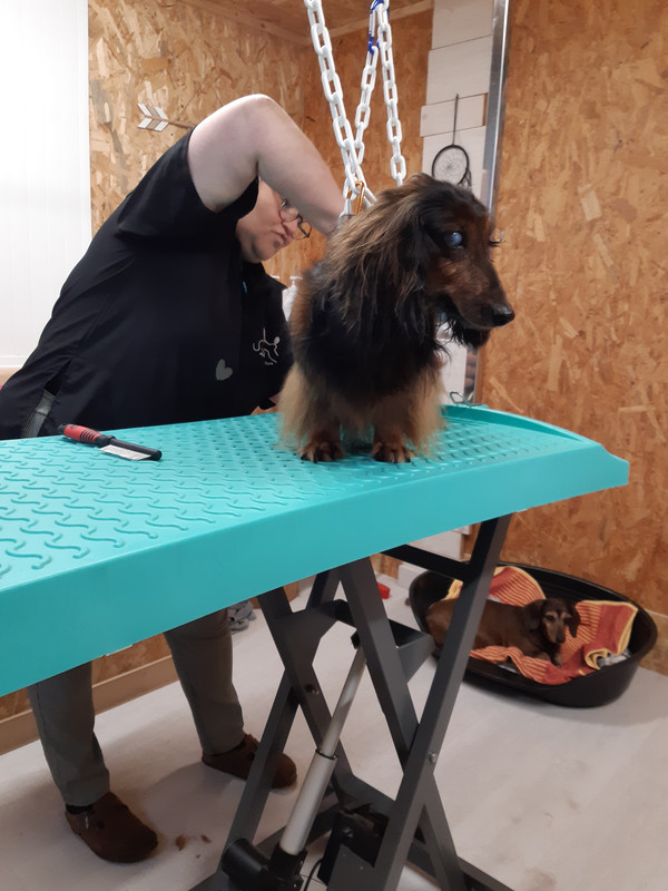 [Image: 20211201-101858.jpg]